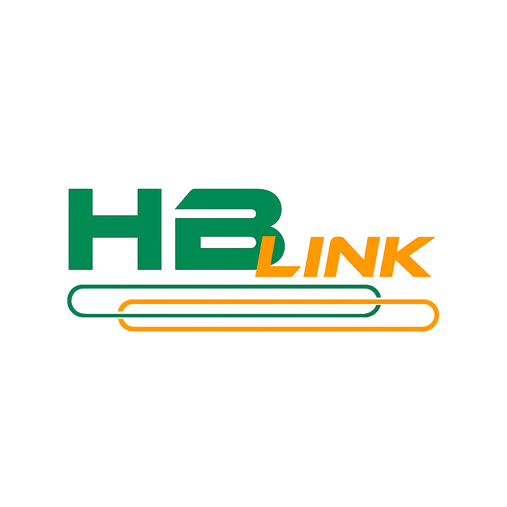 HBLink Network
